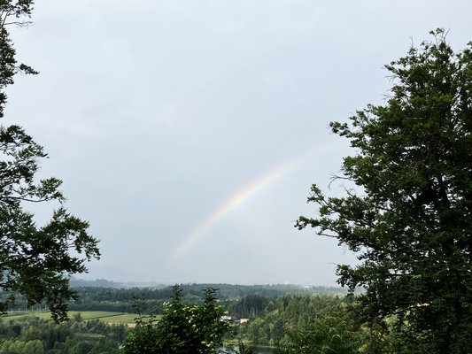 Regenbogen__1_